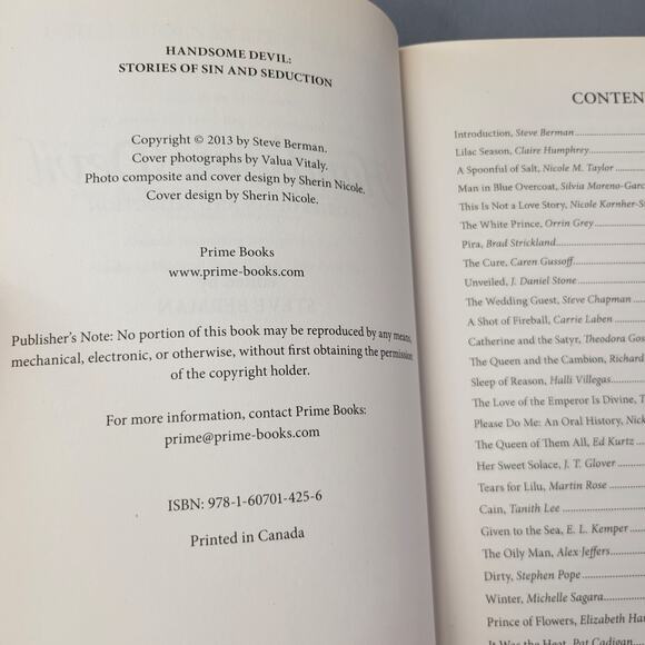 Handsome Devil Stories of Sin & Seduction Book Paperback 2013 - Picture 3 of 14